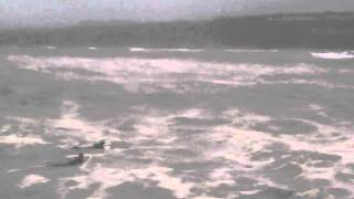 preview picture of video 'Surfers Paddling Out Rough Seas St Andrews Fife Scotland'