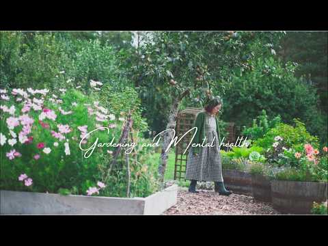 ヤドリギ: 不思議な木の住人 庭の練習