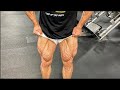 LEANER BY THE DAY - DAY 21 - LEG TRAINING AT POWERHOUSE TAMPA - VITAMIN SHOPPE VISITS!