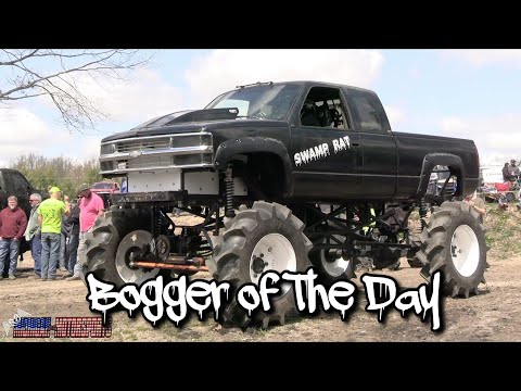 Boggers Of The Day Ross’s Spring Bog 2021