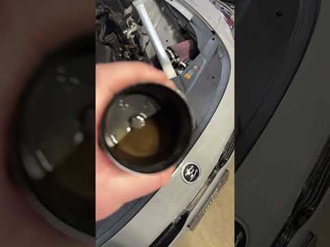 Do Oil Catch Cans Even Work??