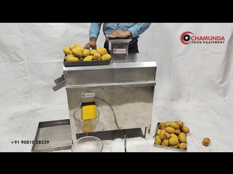 Stainless Steel Mango Juice making machine