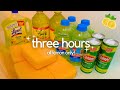 THREE HOURS Lemon Only Sponge Squeezing