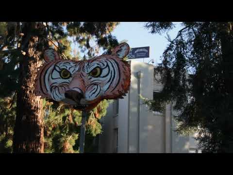 Welcome to Analy High School!