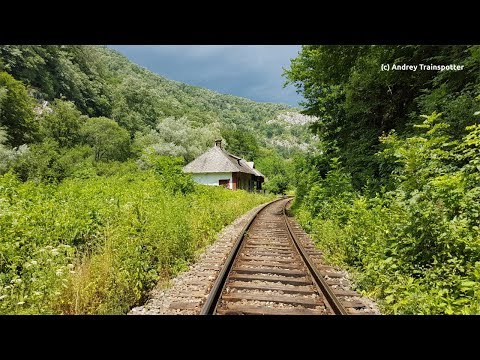 Train RearView @ Vadu Crișului - Șuncuiuș (Crișul Repede's Canyon)