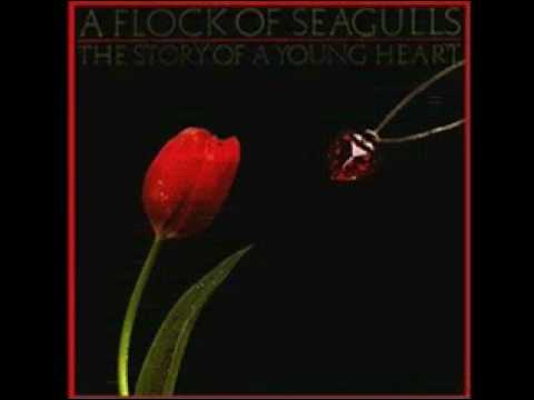 The Story Of a Young Heart
