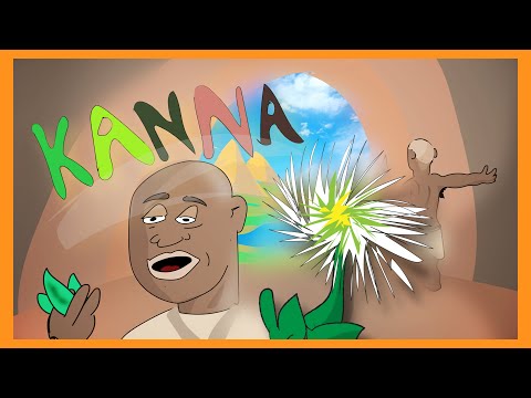 Kanna Infovideo “Sceletium Tortuosum”