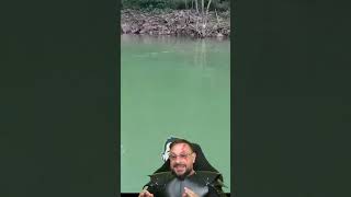 Cobra caninana nadando rápido na Represa de Paranapanema #biologohenrique #animais #biologo