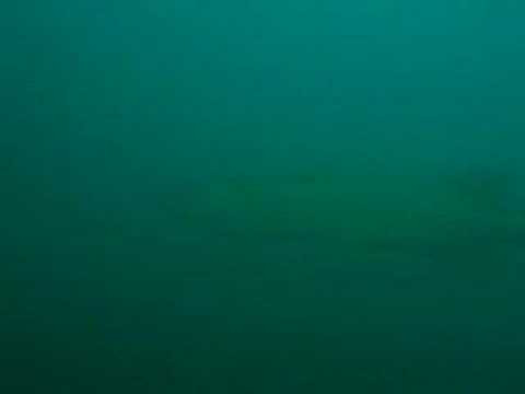 Attersee - Weissenbacheinlauf, Attersee allgemein,Österreich