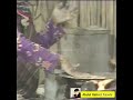 Fahad Mustafa Childhood