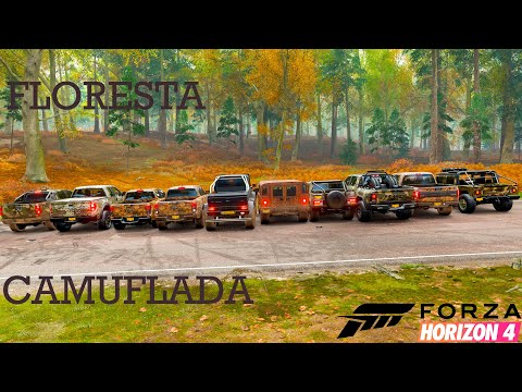 Achamos o CegoSoft 2 kkk!! Floresta Camuflada Forza Horizon 4