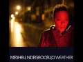 Meshell Ndegeocello - Chelsea Hotel (Audio)