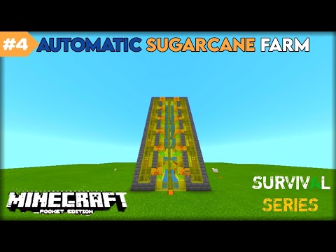 Insane! Auto SUGARCANE FARM in Survival - #mcpe