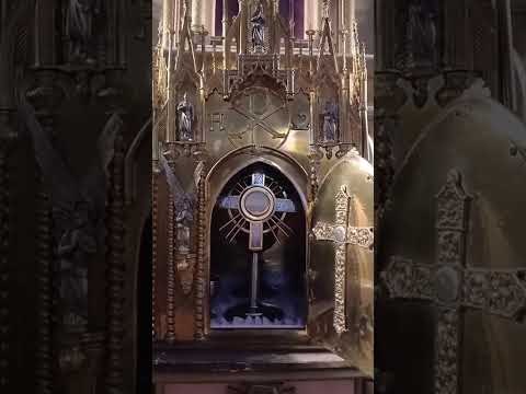 Adoracion Al Santisimo Sagramento del Altar con el Padre Fabian Esteban Oliva. 20/09/26