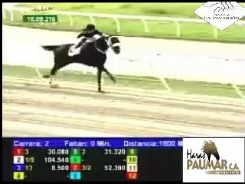 LA RINCONADA 2 CARRERA, DOMINGO 18 DE SEPTIEMBRE DEL 2016