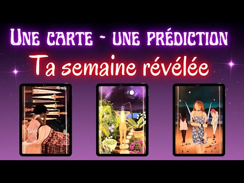 1 CARD - 1 PREDICTION 🌟🔮 #guidance #predictions #mariecartomancieetcompagnie 🧙‍♀️