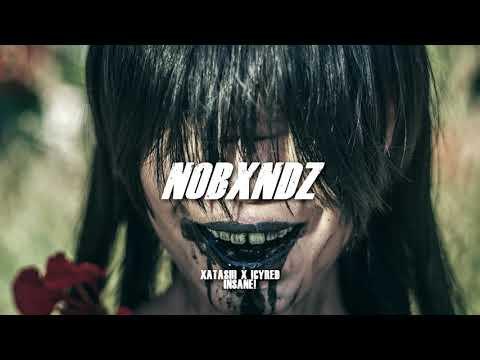 XATASHI X ICYRED - INSANE! [PROD. CHASE]