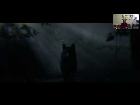 Red Dead Redemption 2 osa 6/2