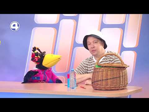 Идём в поход за грибами: что взять с собой и как не потеряться в лесу?