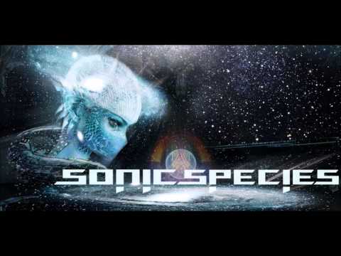 Sonic Species Mix @ "The Edge Of Trance", Jan 2nd 2015 ᴴᴰ