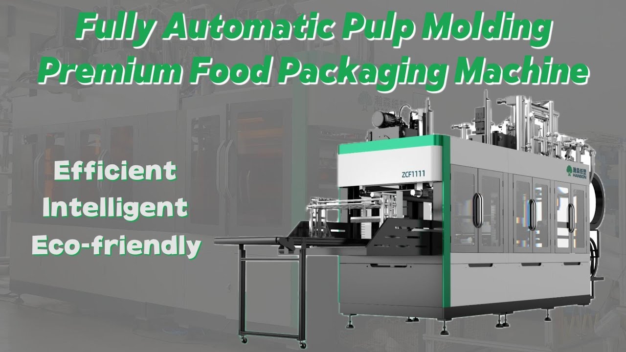 Fully Automatic Pulp Molding Machine | Premium Eco-Friendly Food Packaging Solution
