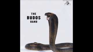 The Budos Band - Black Venom, 2010.
