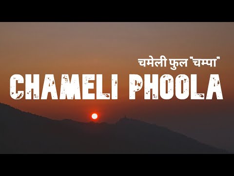 Chameli phoola "Champa" - Kuma Sagar #lyrics