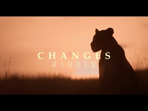 Sinky Beatz - Changes Riddim (Reggae Roots Instrumental)