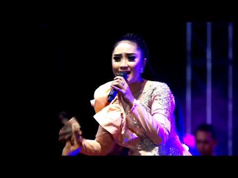 PERTENGKARAN - ANISA RAHMA - NEW PALLAPA LIVE BROTHERHOODS 2019