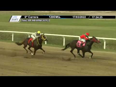 SINT FLORIDA 220317 c06 1° REAL LOVE DAY