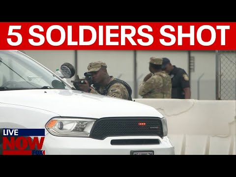 Video | Fort Stewart shooting: 5 soldiers shot in Georgia