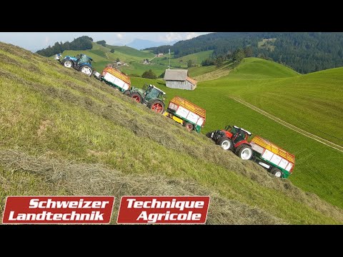 Lenktriebachsen: Dreikampf im Steilhang