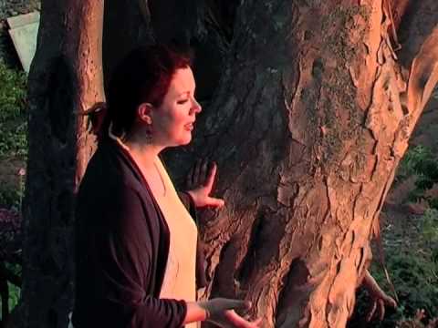 Ima Galguén - Galguén