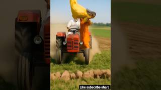 The Perfect Entertainment Break 😄