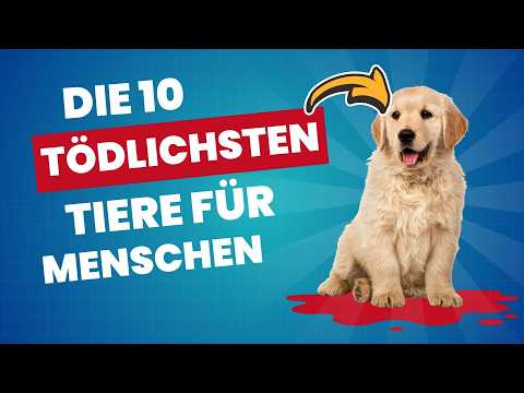 Die 10 tödlichsten Tiere der Welt | Diese Tiere töten am meisten Menschen