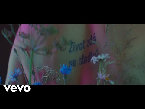 Mig 21 - Život zdá se sladký
