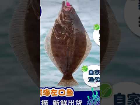 Vendyst Sandakan Seafood 的特色 #左口鱼 🐟👍