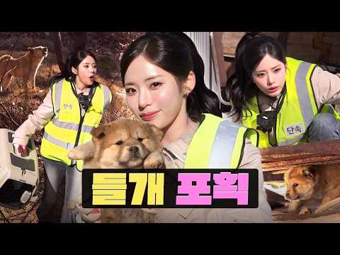 같이 일한대서 진짜 개 잡으러 감 (feat. 차세대 충주맨) | 들개잡이 알바 | 워크돌 | 프로미스나인 지원