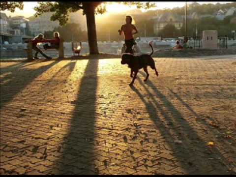 Up, Bustle & Out - Sane Men Surround