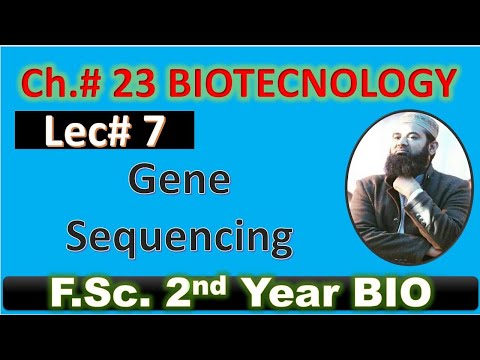 Gene sequencing I biotechnology  I CH#23 I Lec# 7 I F.SC. Biology I Class12