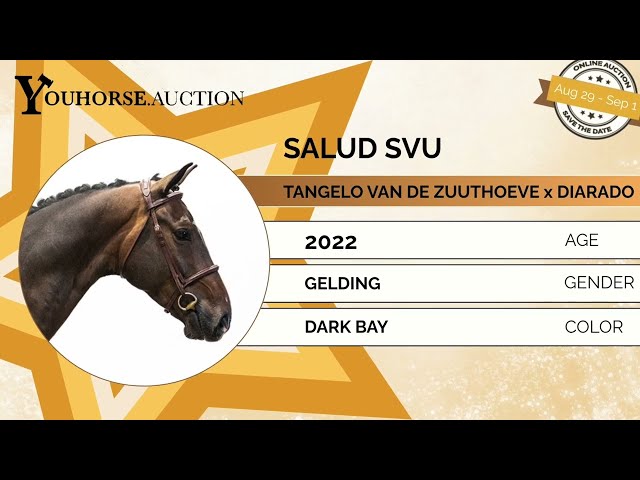 Salud SVU