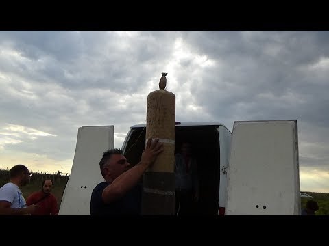 Adelfia, 1 Ottobre 2018| Lancio di una bomba della ditta " L'artificiosa F.lli Di Candia"