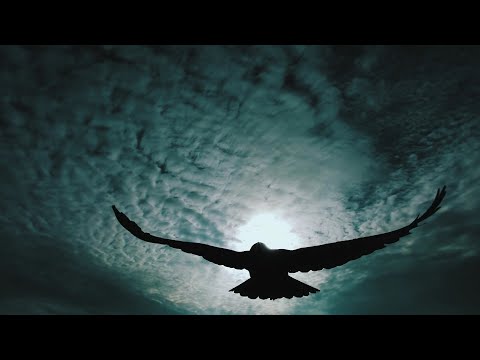 CiviC RebelS - Sub Zborul Corbului (Official  Music Video)