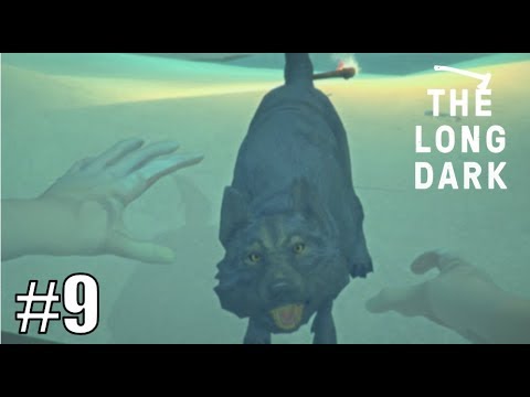SUSIEN INVAASIO!? - The Long Dark