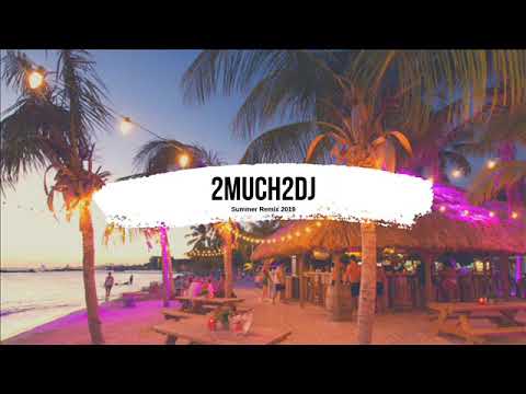 2Much2Dj - Summer Remix 2019