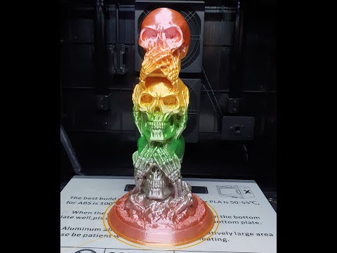 The Three Wise Skulls