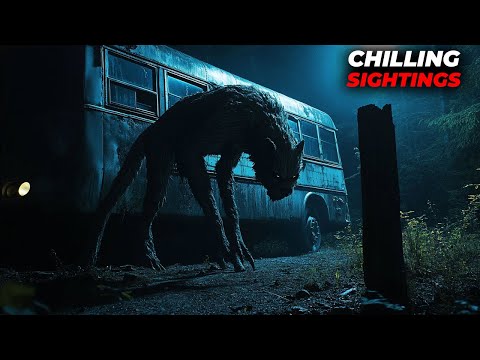 10 Chilling Encounters in Cemeteries After Dark