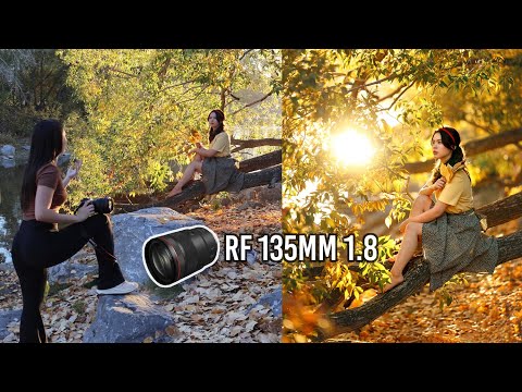 Video thumbnail for Video Review 3