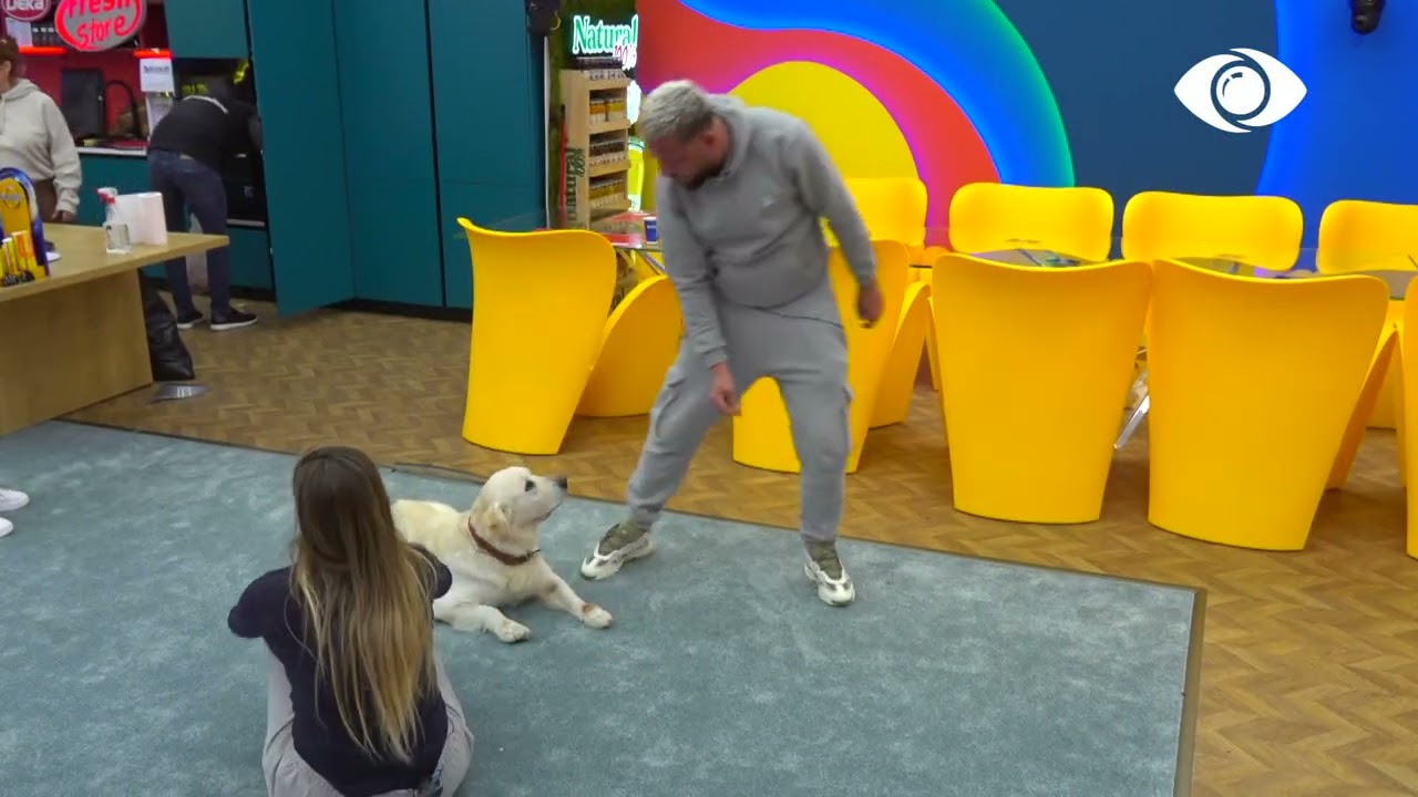 Prova e mos-reagimit/ Olta reagon ndaj qenit