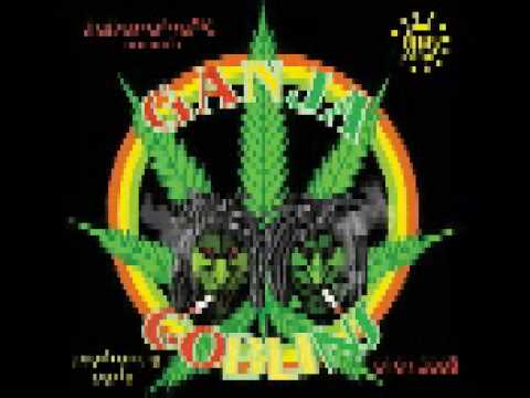 Solo questione di Ganja - Tanzo & Bonsai (Sommatino)